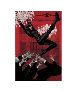 100% MARVEL VIUDA NEGRA 03 PANINI14,00 €14,00 € PANINI PANINI