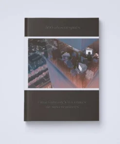 500 AÑOS DESPUÉS FINAL FANTASY VII A TRAVÉS DE SUS CREADORES – ilevel. Librería, cómics y regalos