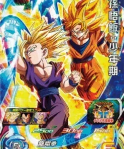 BM12-019 SR Gohan | SDBH
