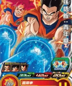 BM12-039 C | gohan | SDBH