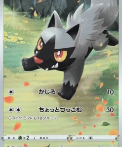 Poochyena 208/172 AR | Pokémon Universo VSTAR s12a