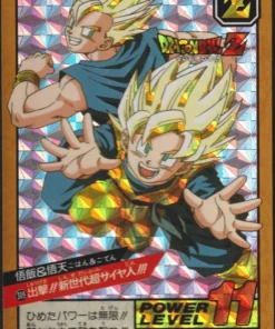 Gohan y Goten Nº 309 | Súper batalla Carddass