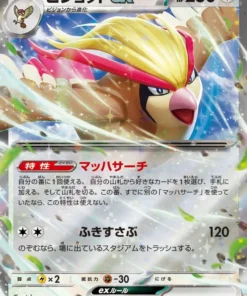 Pidgeot ex 089/108 RR | Gobernante de la Llama Negra