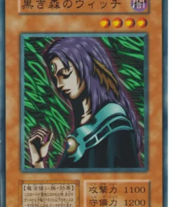 Bruja de la Selva Negra 78010363 (Sin referencia) | Vol.6