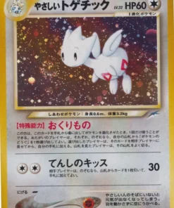 Togetic ligero No.176 | Neo destino