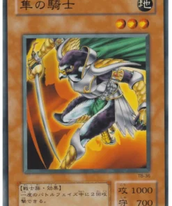 Caballero Hayabusa TB-36 | La Biblia de los Mil Ojos