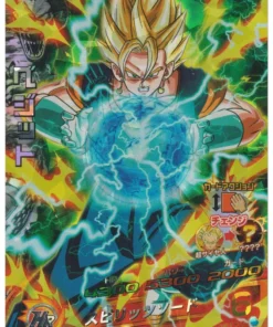 Vegetto HGD2-48 | SDBH |