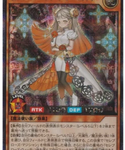 Celeb Rose Warlock RD/HC01-JP046 | Colección de alta calidad