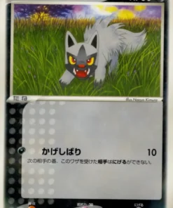 Poochyena 047/055 | Paquete de expansión ADV