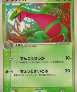 Grovyle 081/PCG-P | Promoción PCG