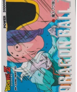 Tarjeta PP Dragon Ball Amada: Parte 25 – 1093