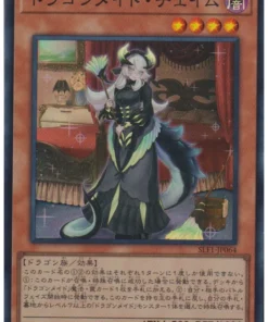 Cámara Dragonmaid SLF1-JP064 | Selección 5