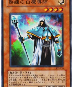 Mago Blanco Experto 303-010 | Campeón de Magia Negra