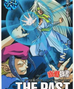 Raisen VS Souketsu No.273 | Yu Yu Hakusho Carddass