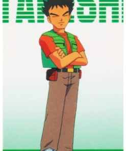 brock | Versión animada de minitarjeta Pokémon