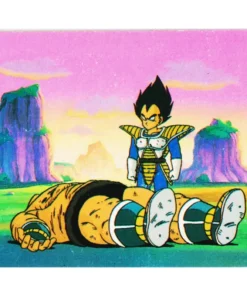 Vegeta y Napa 72 | Mini tarjeta Amada
