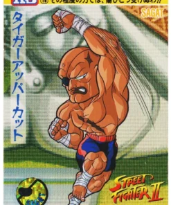 SAGAT 18 | Carddass Street Fighter II