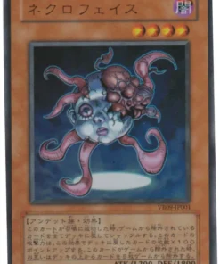 Necrocara VB09-JP001 | El valioso libro 9