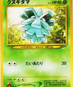 Pineco No.204 | Neo destino