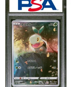 Turtwig 206/172 AR – S12a Universo Vstar | PSA