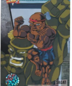 Saga 17 | Tarjeta Carddass Street Fighter II V