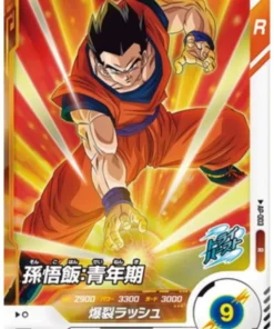 Son Gohan AP-003 R | Paquete avanzado Super Divers