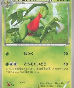 Grovyle 004/070 C | Volcán Gaia XY5