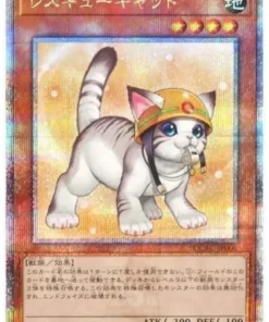 Gato de rescate QCAC-JP006 (Nueva obra de arte) | Colección de arte del cuarto de siglo