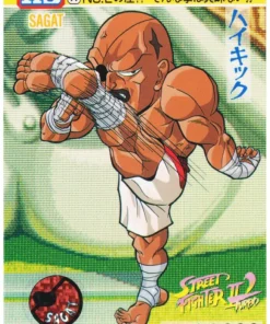 SAGAT 91 | Carddass Street Fighter II