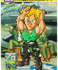 ENGAÑO 31 | Carddass Street Fighter II