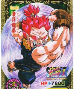 GOUKI 23 | Carddass Street Fighter II