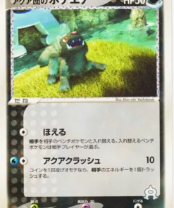 Poochyena 021/033 del Equipo Aqua | Kit de cubierta Aqua