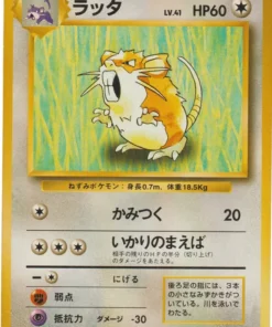 Raticado No.020 | conjunto básico