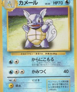 Wartortle n.° 008 | Conjunto básico