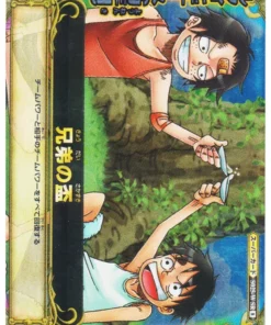 Ace & Luffy S025-W SR (Foil) | One Piece BB MATCH W