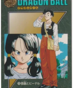 Aventura visual de Dragon Ball: Son Gohan y Videl 228