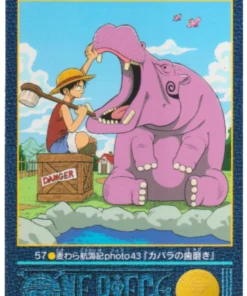 One Piece Visual Adventure No. 57