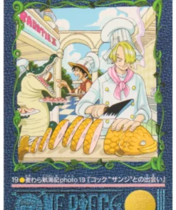 One Piece Visual Adventure No. 19