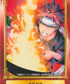 Salto justo en Animate 16 Carta: Sōma Yukihira