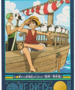 One Piece Visual Adventure No. 5