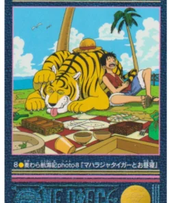 One Piece Visual Adventure No. 8