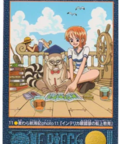 One Piece Visual Adventure No. 11