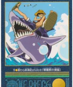 One Piece Visual Adventure No. 9