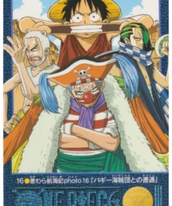 One Piece Visual Adventure No. 16