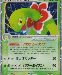 Meganio ex 003/016 | Mazo de inicio construido con Meganium