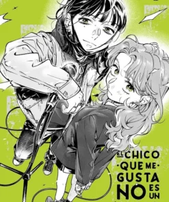 El chico que me gusta no es un chico 02 – ilevel. Librería, cómics y regalos
