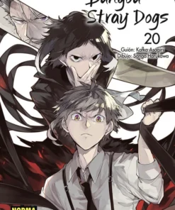 Bungou Stray Dogs 20 – ilevel. Librería, cómics y regalos