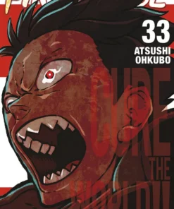 Fire Force 33 – ilevel. Librería, cómics y regalos