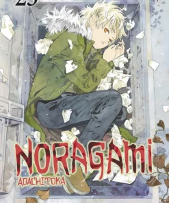 Noragami 25 – ilevel. Librería, cómics y regalos