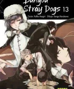 Bungou Stray Dogs 13 – ilevel. Librería, cómics y regalos